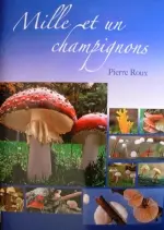 Mille et un champignons