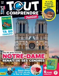 Tout Comprendre Junior - Janvier 2025