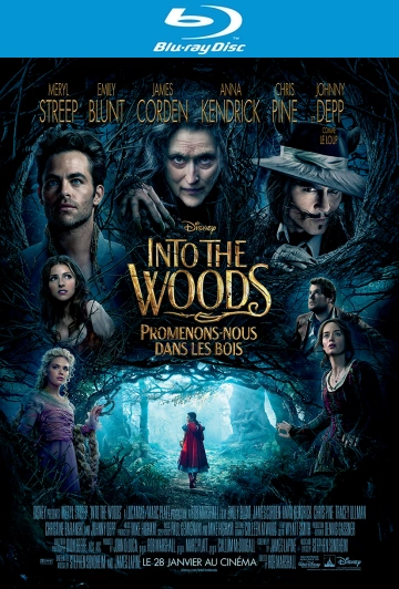 Into the Woods, Promenons-nous dans les bois