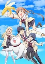 Aho Girl - Saison 1