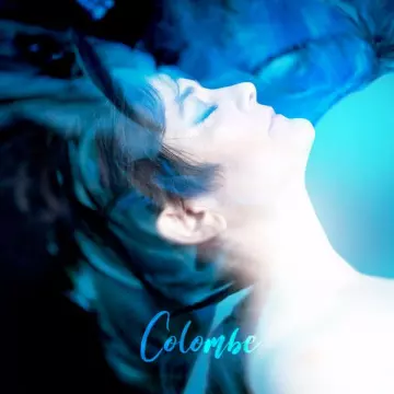 Colombe - Sous les étoiles