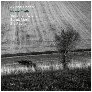 Avishai Cohen - Naked Truth