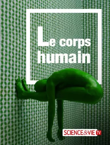 Le corps humain - Saison 1