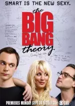 The Big Bang Theory - Saison 8