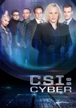 Les Experts : Cyber - Saison 1